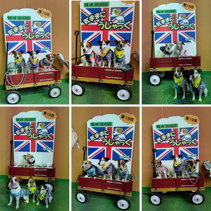 5fd86782 cfc5 4c20 a042 4d88a23af566 1661814094709