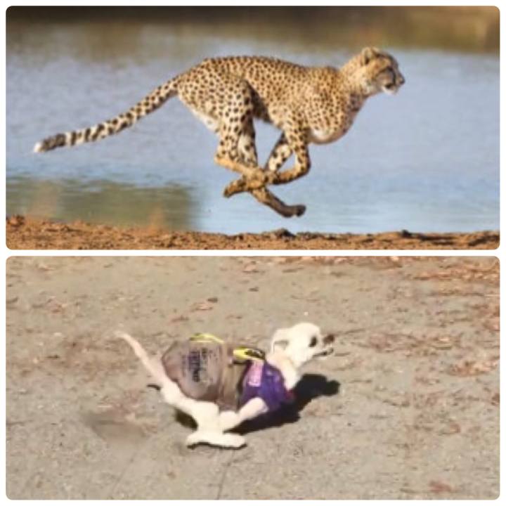 5fd8955e 6f61 4d5a b566 5063e51eb086 1551501271068