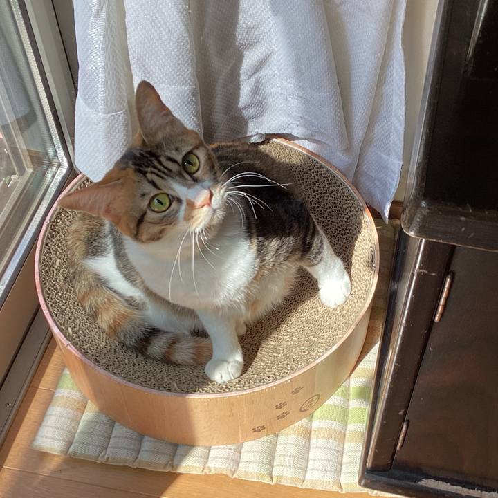 5fd8cb88 96f8 4a25 9ad1 b941c5b384a5 1691274591522