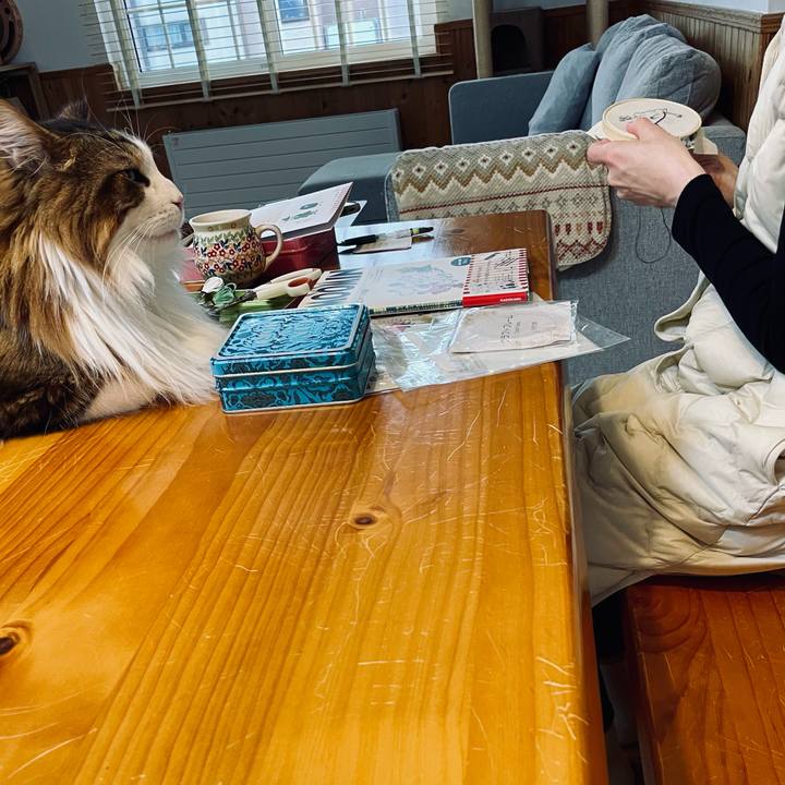 5fd8ee1d d032 41c9 8d19 5df2467ae230 1737265716585