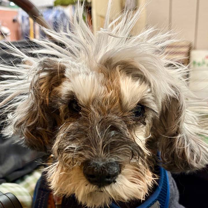 5fd90883 7ccb 47a6 af9a 02c00b823878 1765537022646