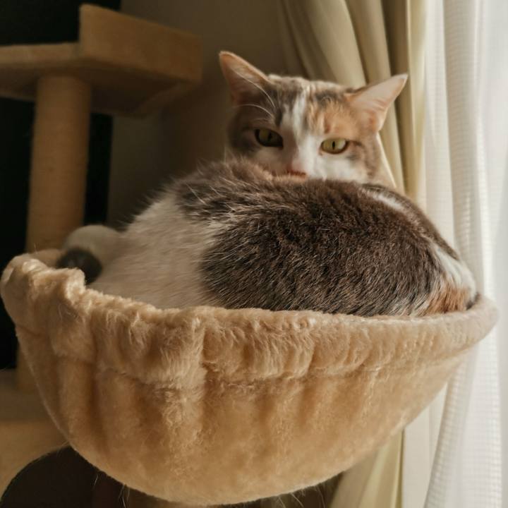 5fd93cfe 208f 4782 9cb3 e3c173c8fc86 1646624997596