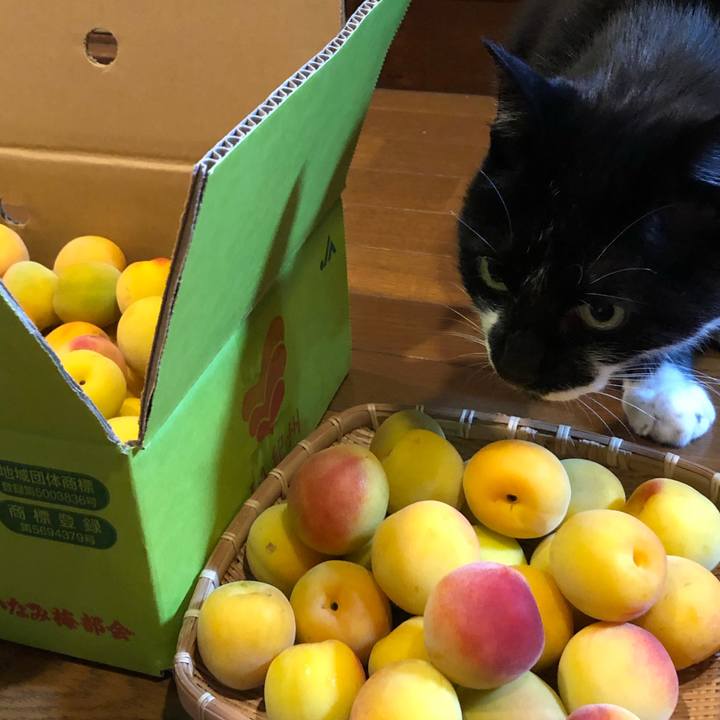 5fd93da4 6d52 4ad8 9c00 4e5fa212c246 1592222798391