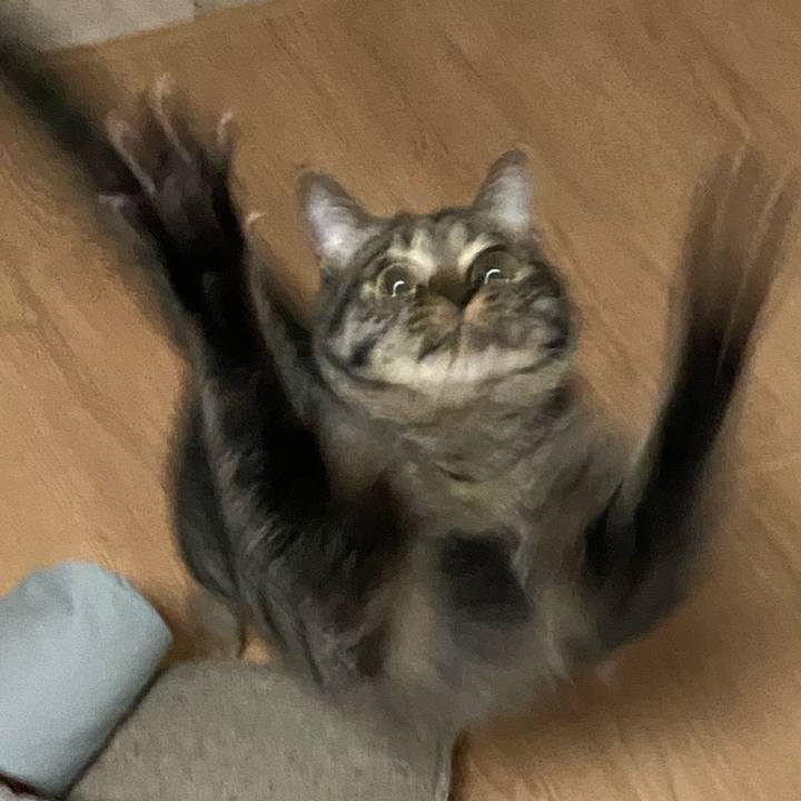 5fd94b1f 0fcc 4c8b b7ef 9dbd22eee918 1652355708089