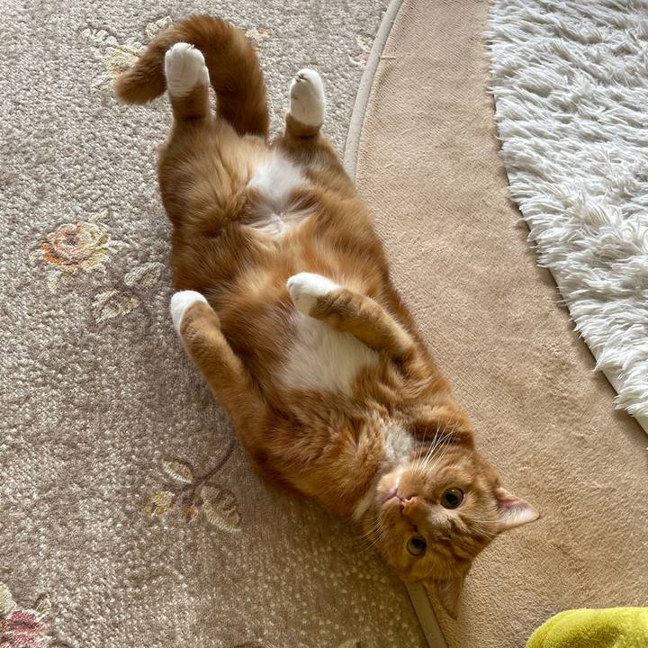 5fd95a76 5b1e 4d62 b9d2 fb5c850de3d9 1636177221899