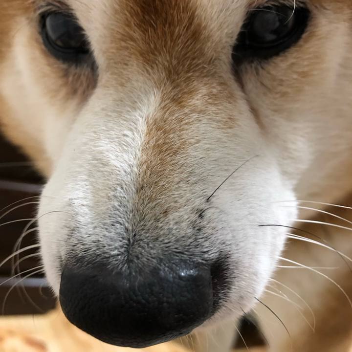 5fd984fc 7dab 4215 aab7 c761ddea13e0 1544531151095