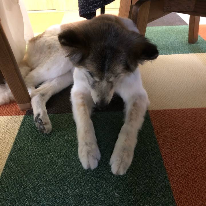 5fd9a375 60e7 41de bc9a 88417e462bf6 1533275974026