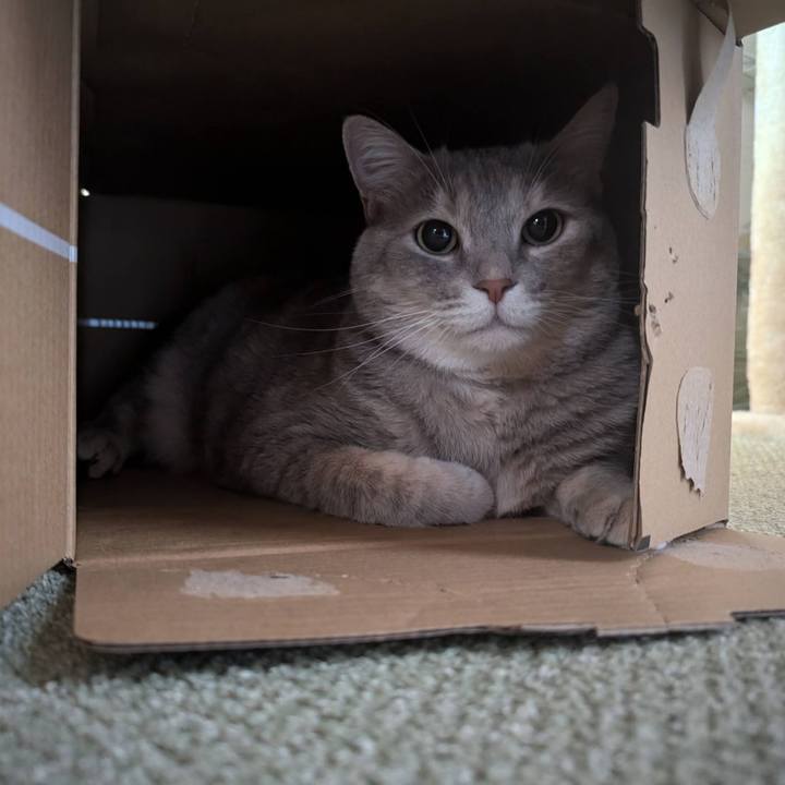 5fda2a94 715c 4a91 9c2b 5e7be967fb58 1721385516263