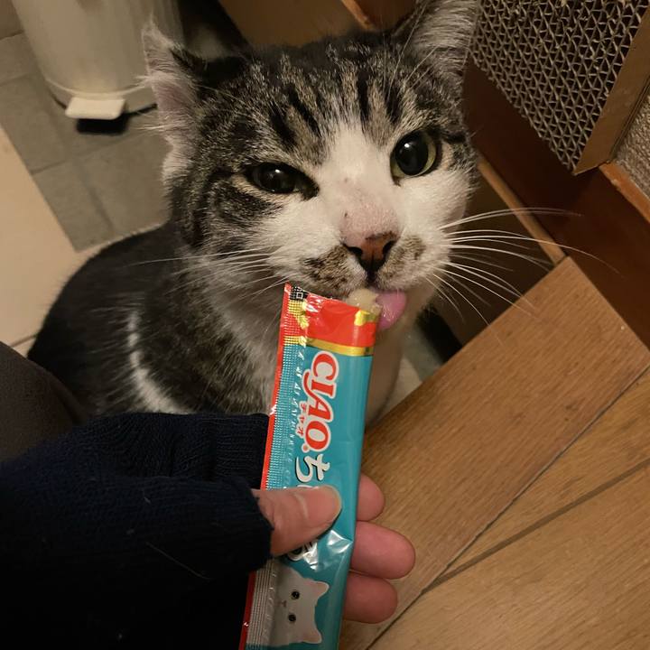 5fda3e03 c934 41fe a504 6822a2444ca0 1643888887333