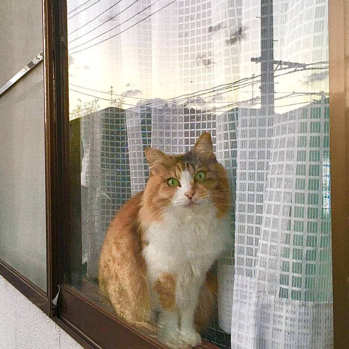 5fda5a5e 1944 4e73 b8e0 d1eb1b20ab2c 1605595295476