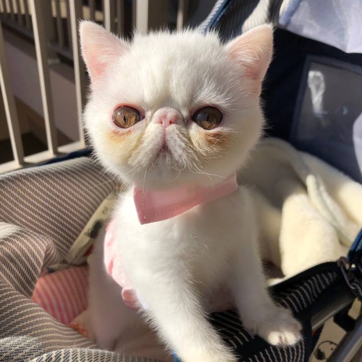 5fda7591 f7a4 4e3c 9ff6 d976e3a12017 1546416824339