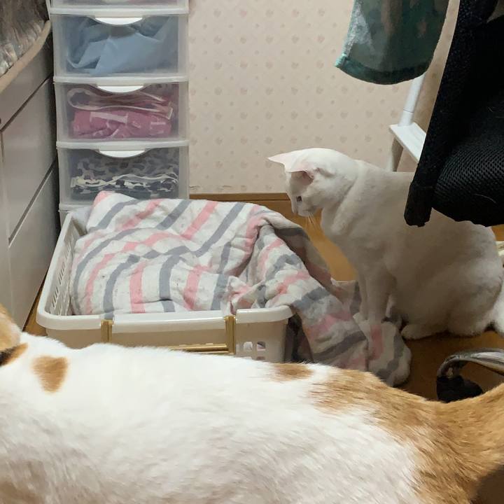 5fda9833 9b09 416d 9660 46573695a8fc 1577071022106