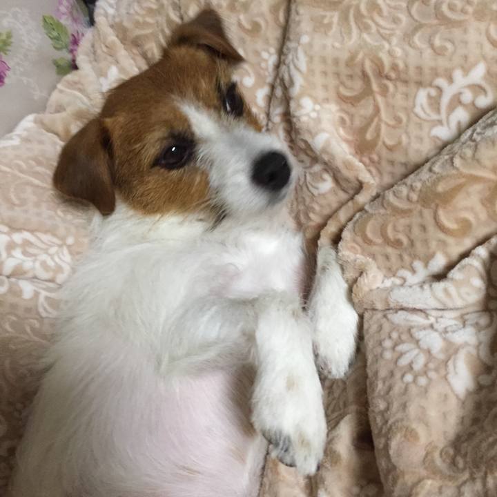 5fdaa6e1 28e6 4bee a764 ef02a04cd03a 1510485191203