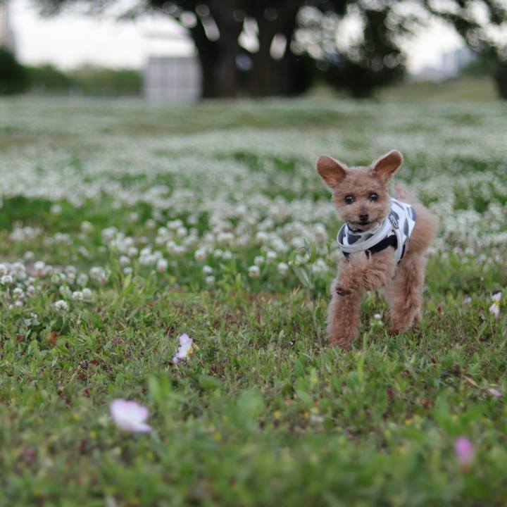 5fdab6f0 239f 496c b387 2894bfb7a34a 1620035141044