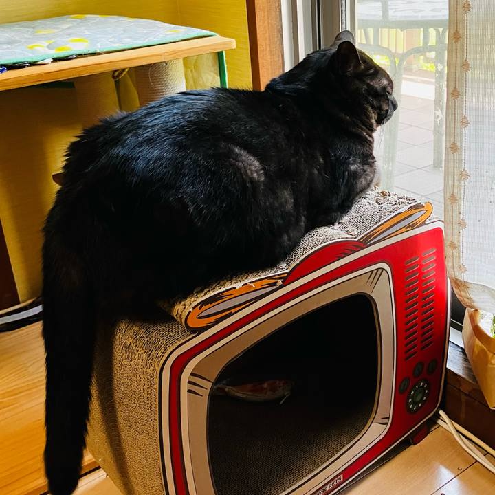 5fdabe89 2a47 4079 9384 40ffca9bbd96 1750994697574