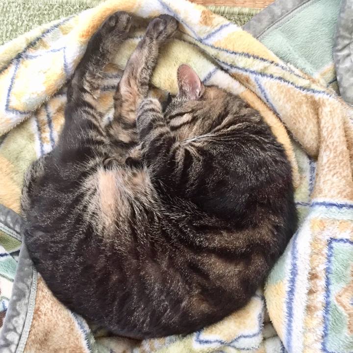 5fdb27ca ffde 4b1c b9c8 0cdb3cdf6c74 1525769474956