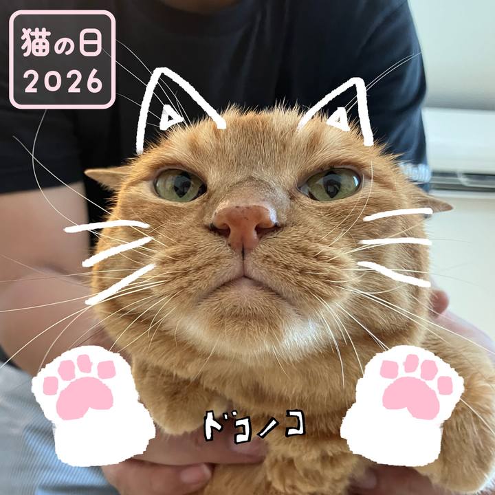 5fdb27fe f526 4701 a213 8e6deb537a14 1771736731753