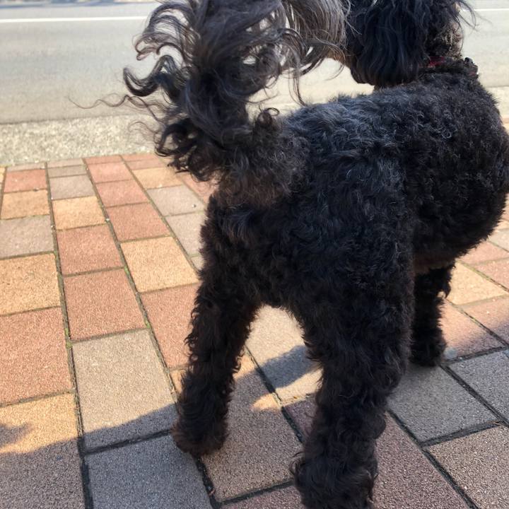 5fdb5212 6fa3 4623 b7e0 d5952363eaf1 1556413692167