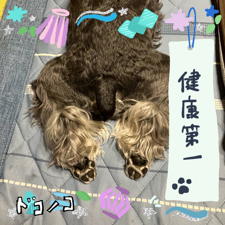 5fdb56f6 4846 4a3e 85b7 3f6a5b2ac83c 1720870936315