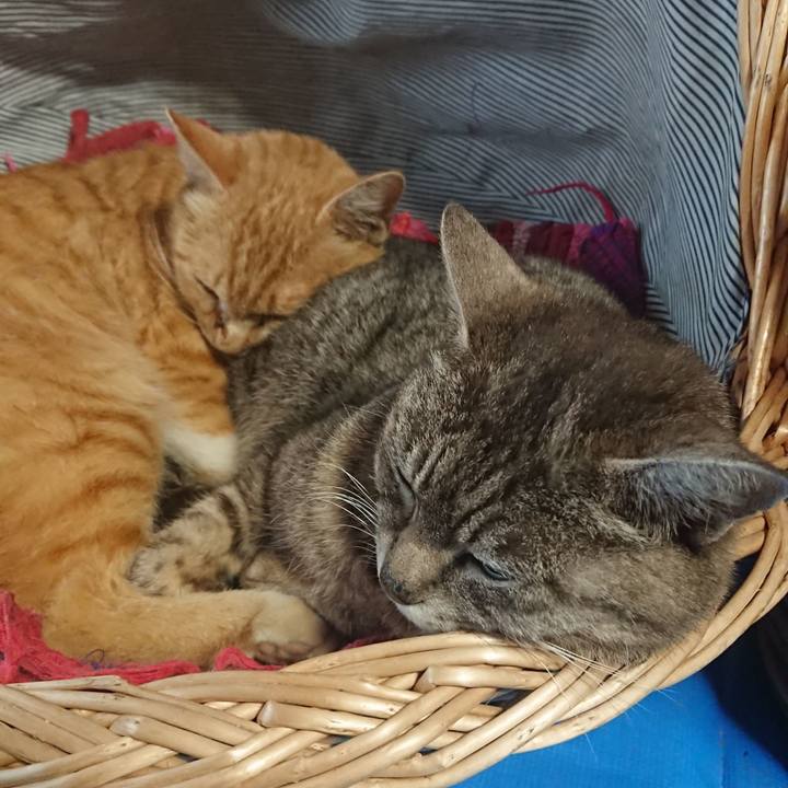 5fdb8217 3867 46ef a8ee 6b36c0a7ad1a 1558769158615