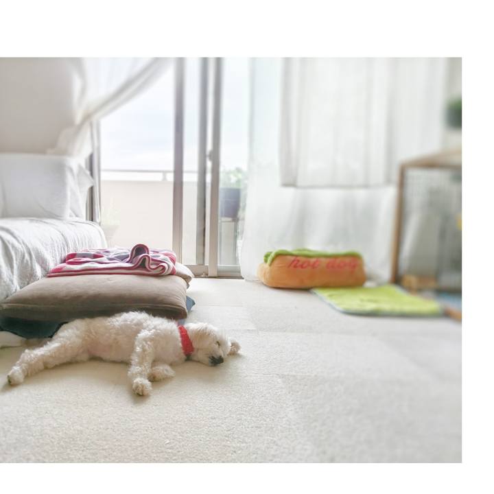 5fdc191b 5abc 4390 a1b3 c3f7409253b1 1689374983887