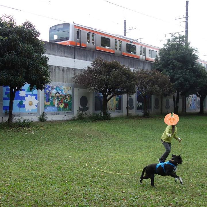 5fdc6137 5f58 4a4a 849d 2e5a2d81a5fa 1604015752964