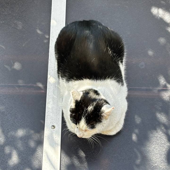 5fdc871e 1df2 47e1 a074 dbf37c89d0bb 1771058773144