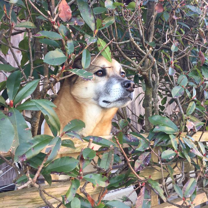 5fdc955e b7b0 4987 af27 da2a3a38f1b6 1519346307906