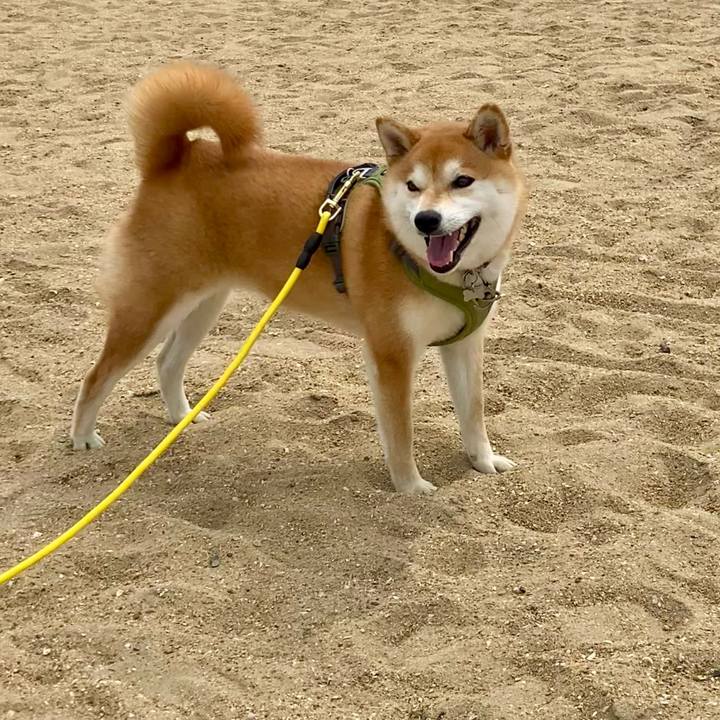 5fdceb09 d411 457e a3f7 99e0e3c87922 1714691570639