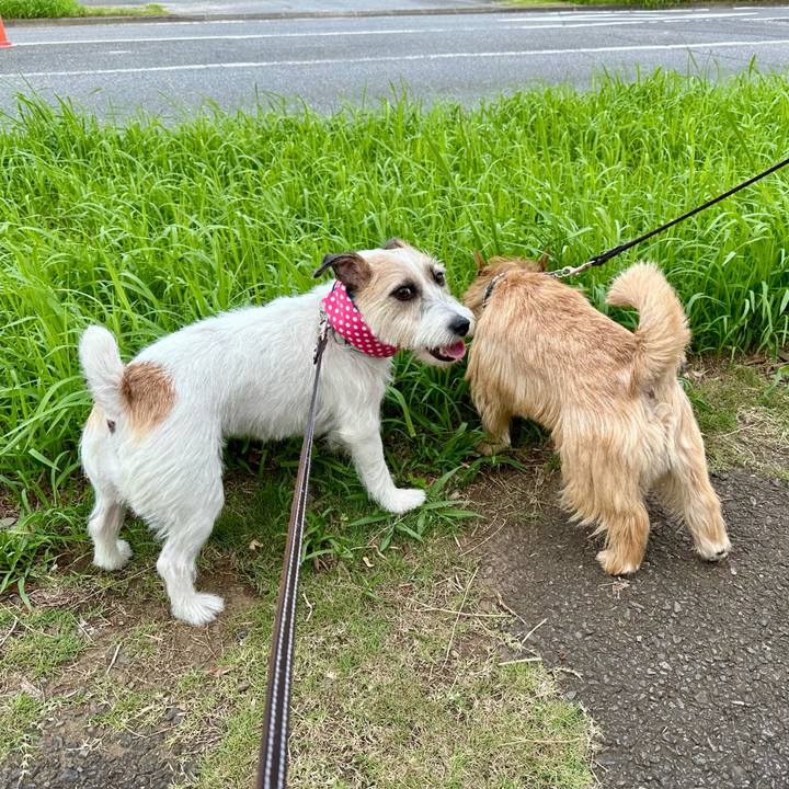 5fdcebac d64f 45df 9994 64319560b0aa 1752766444568