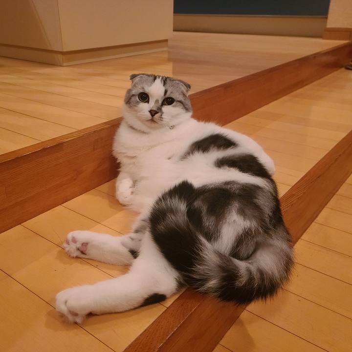 5fdcf71a 5463 4512 a224 2d5d6776c45e 1666308268457