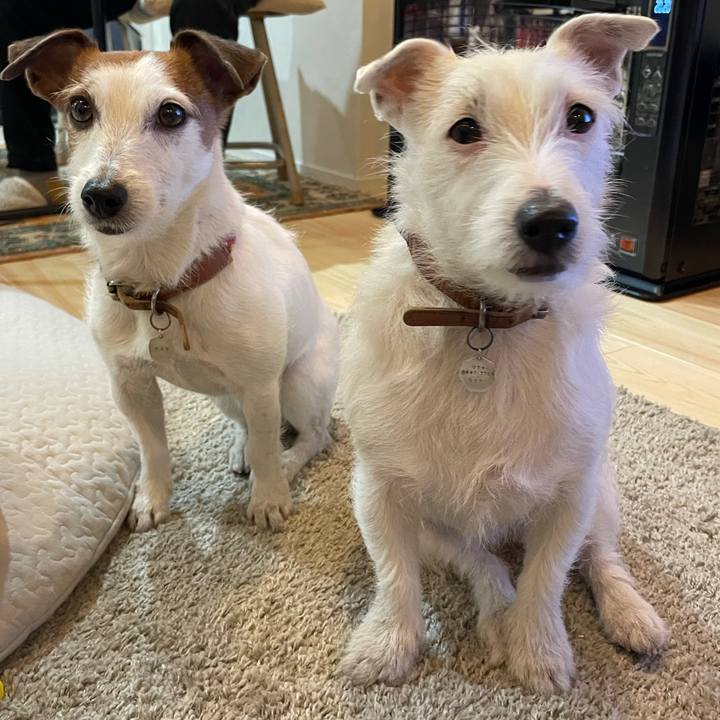 5fdd00ad baa1 4205 93ac 8d821ed0ff45 1771410832498