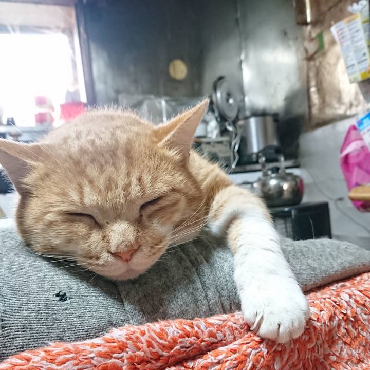 5fdd1093 a86f 4fb7 a805 b6e24da84e07 1577948148654