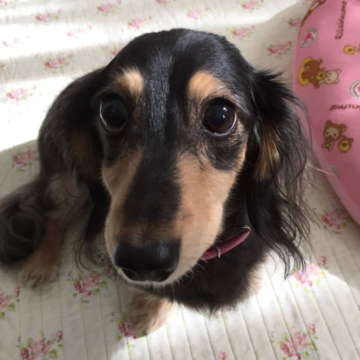 5fdd6a0d 834e 4488 88ec ad38b16e1dfe 1541948250586