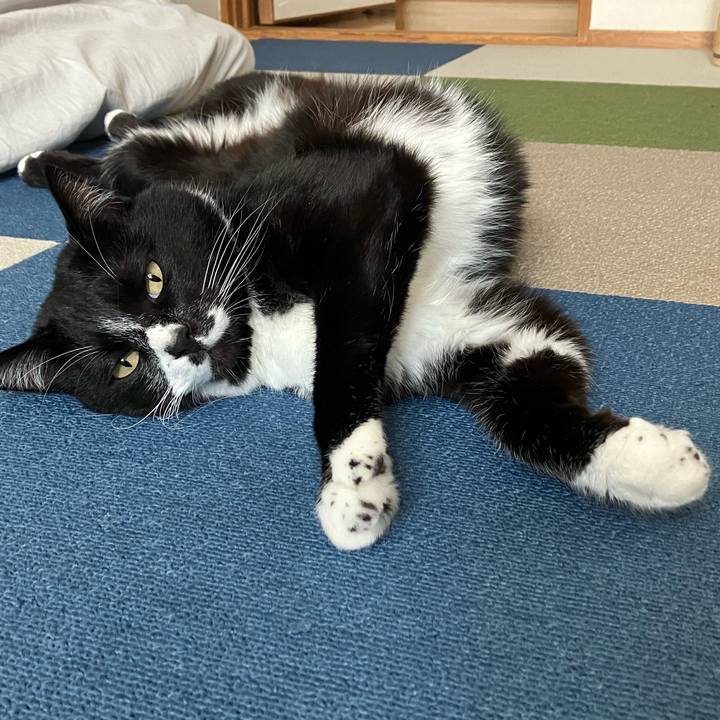 5fdd853f ae7f 49af b111 0603506a5ed2 1687319285087