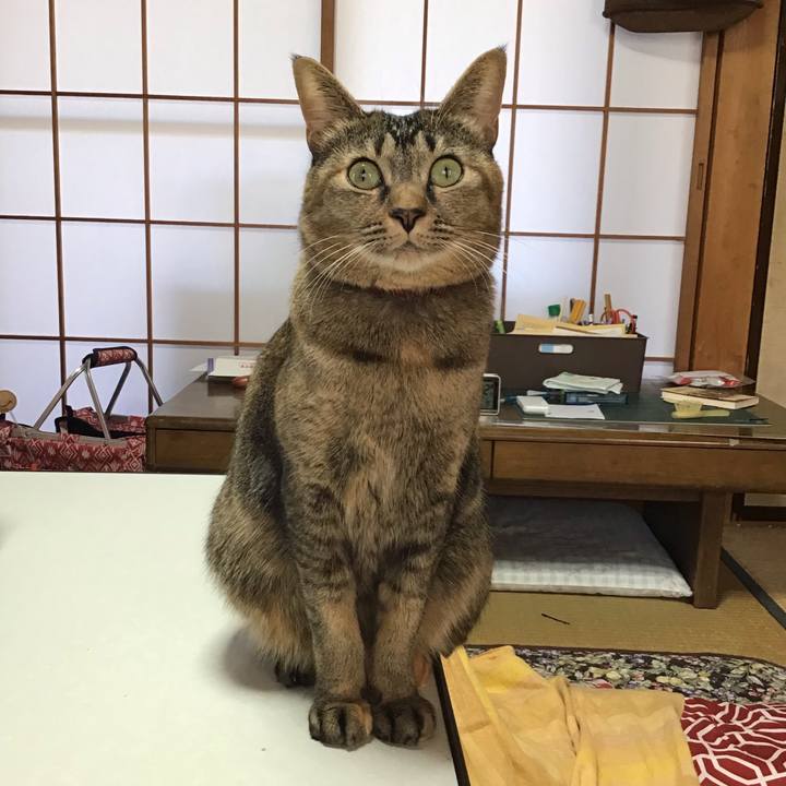 5fdd8b9f 4a71 4de9 b679 6e366c0aaa9b 1637967400641