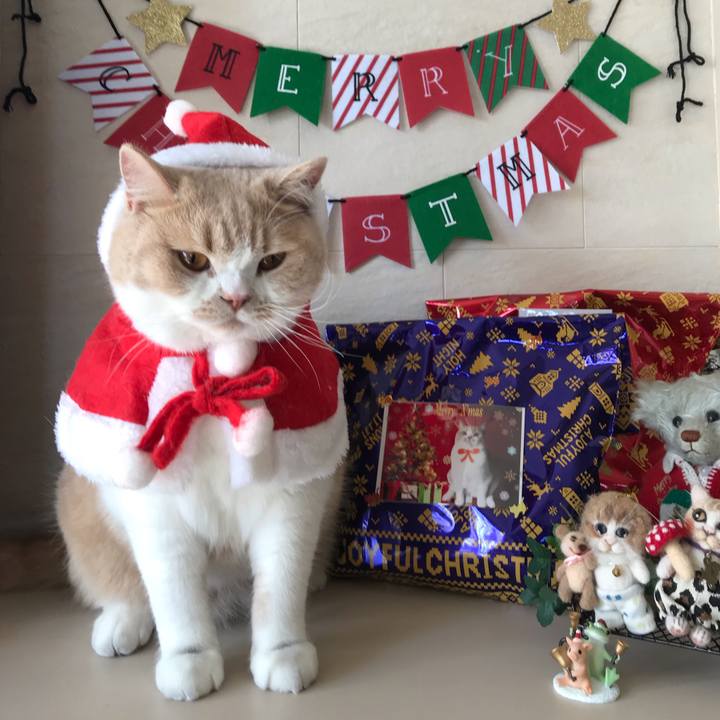 5fddaa57 f0f0 4d23 97c2 0c25a5cf61db 1545650375600