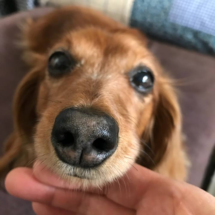 5fddbbad 4706 4032 9637 3fb08f58f636 1523430374902