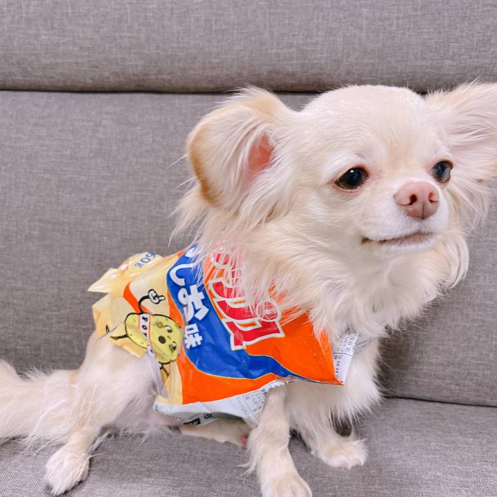 5fddc64a dd4b 4faa 92d5 b77b4ff9695b 1651138189480