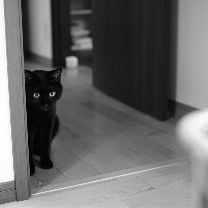 5fde760c 93fc 49c9 9694 b8e3fb4e5877 1532648207628