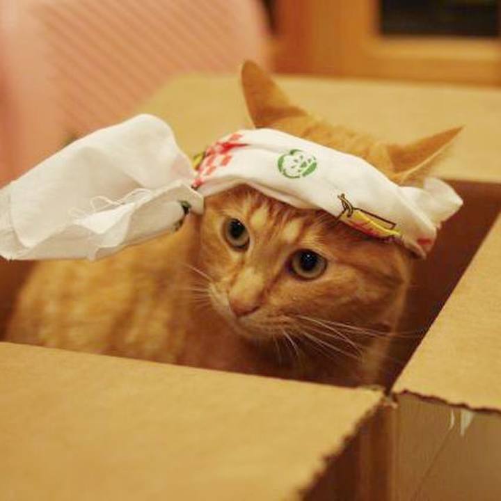 5fde8986 50eb 4ce2 aaa9 26484c32b9d7 1721566881819