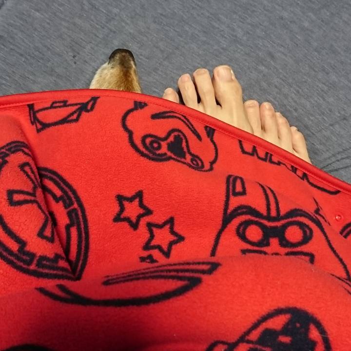 5fdeacae 56bb 4296 8e0e 88195c70046e 1516857335945