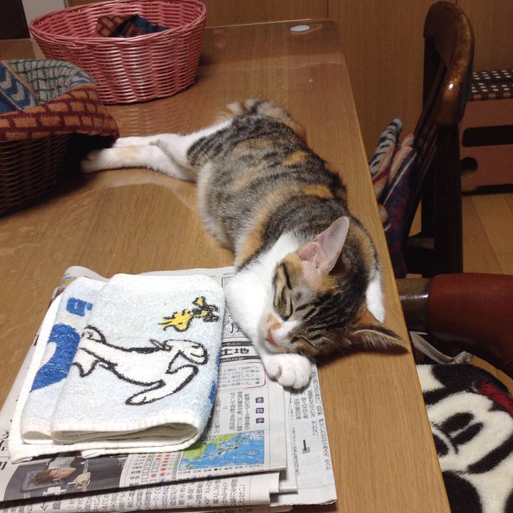 5fdec948 81f6 48d7 9dd3 90415f927da8 1629368034228