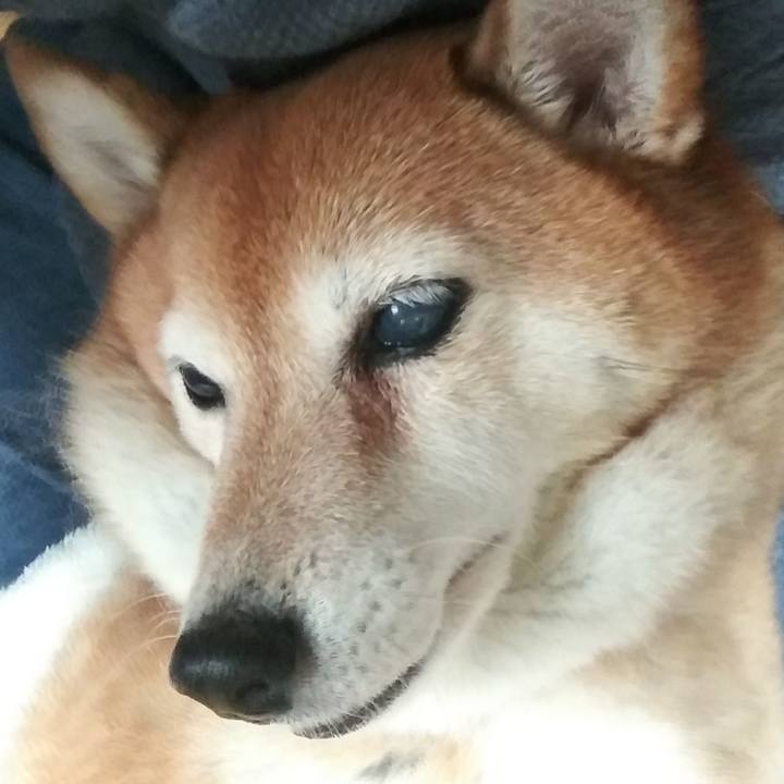 5fdecf53 203d 499c 94d2 3c51ee8f6f8d 1624082222063