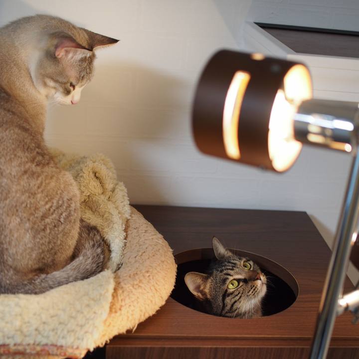 5fdee200 7053 44ad 8355 6785bc94f059 1546955160483