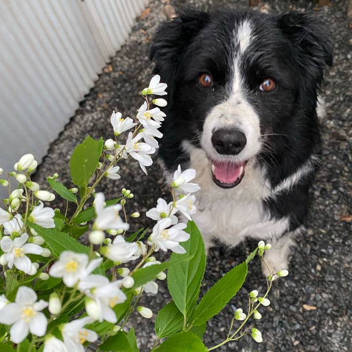 5fdee6ca f834 48b0 ad9d de9edc17d341 1617497823158