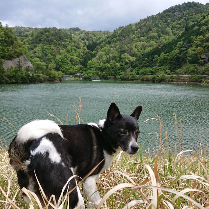 5fdf1225 9362 4ae2 9288 2926e56aebd3 1619924346761