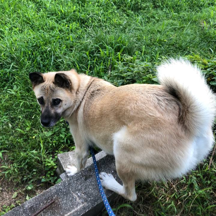 5fdf1474 428f 4b28 87d7 bd6393718f65 1566561935846