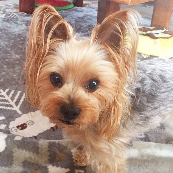 5fdf3260 7d9f 4282 8989 8b161f7e3011 1527844508492