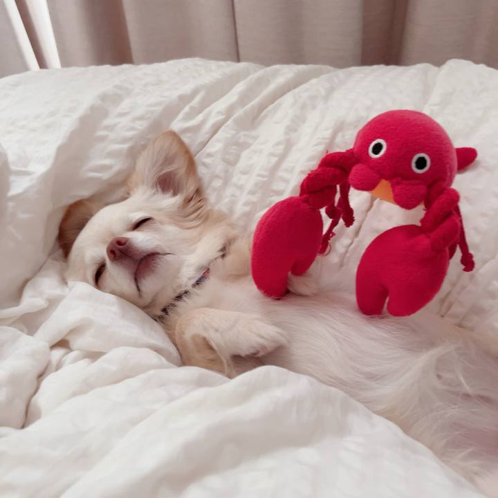 5fdf42c3 890f 44b7 b8ae f86d589ddb1f 1716525099029